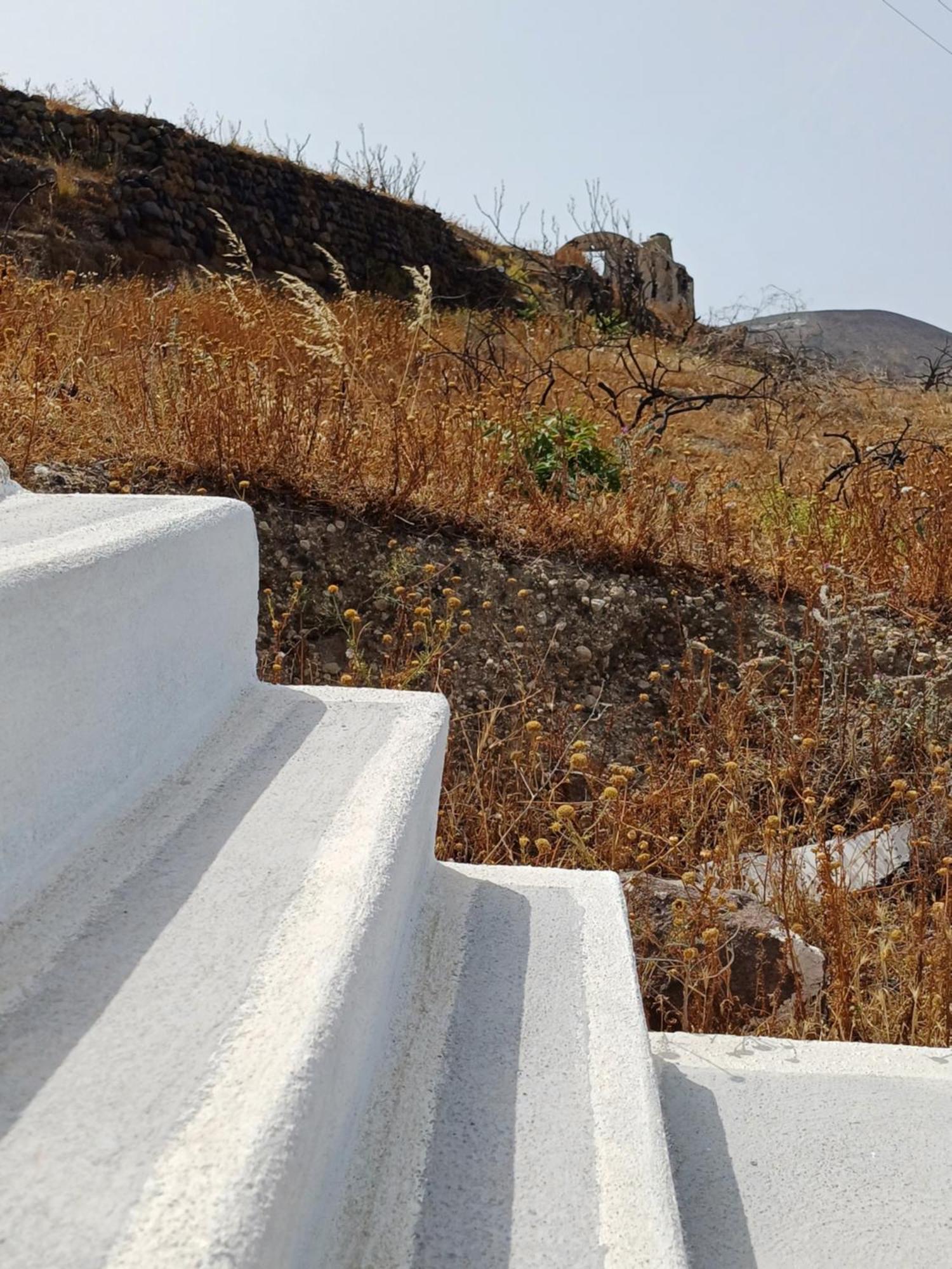 Villa 'Irene' Cycladic House With Sunrise And Sea View! Foinikiá Exterior foto