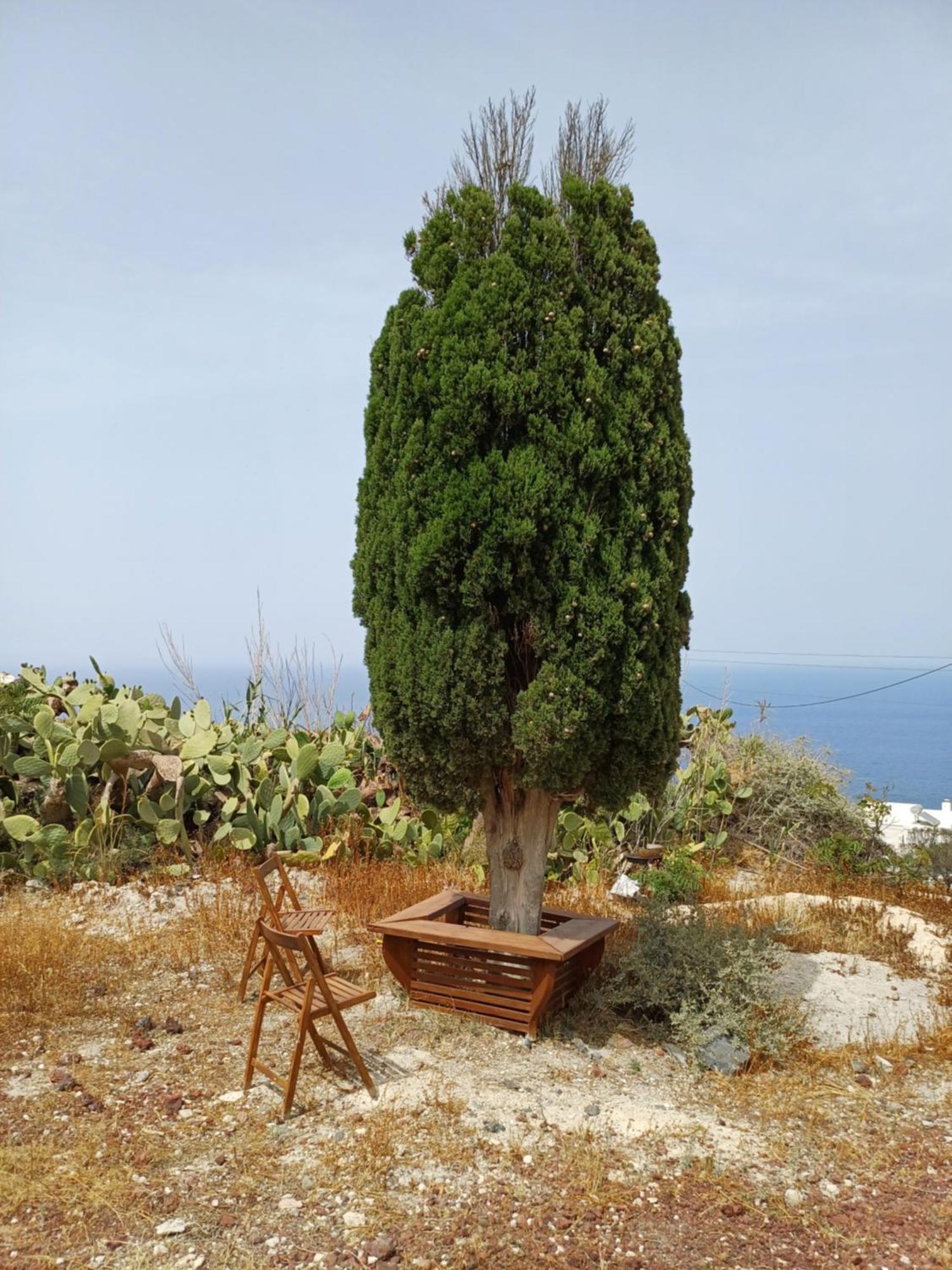 Villa 'Irene' Cycladic House With Sunrise And Sea View! Foinikiá Exterior foto